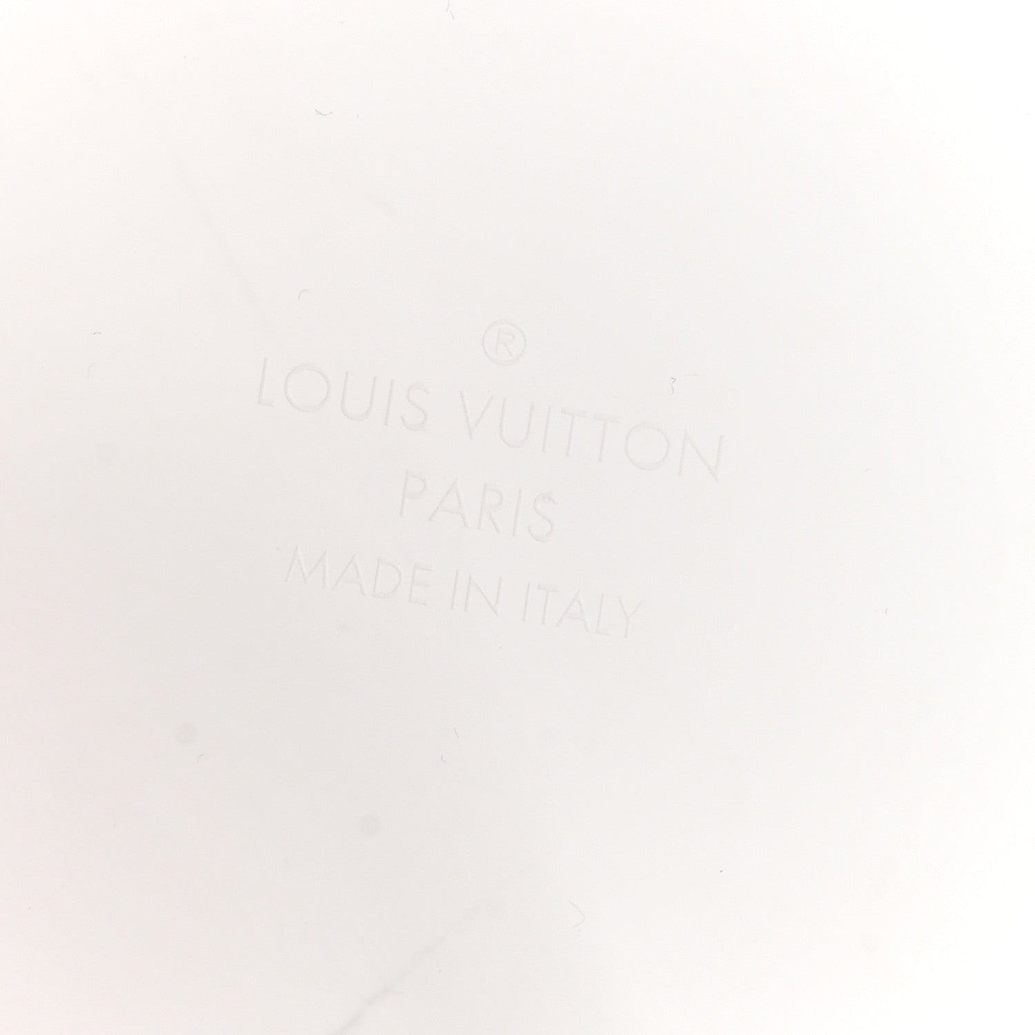 Louis Vuitton Transparent Plexiglass Box Scott Rose Ballerine 5 of 6