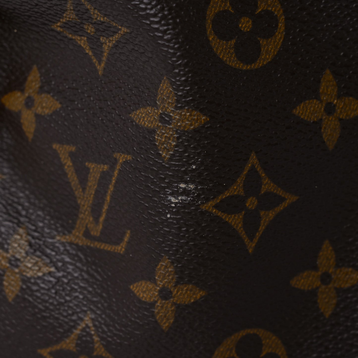 Monogram Speedy 25