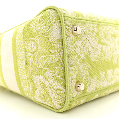 Christian Dior Canvas Toile De Jouy Reverse Embroidered Medium Lady D-Lite Green 8 of 11