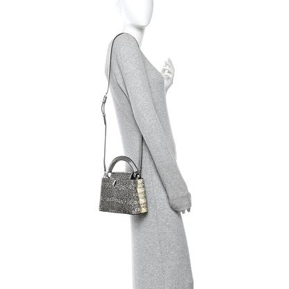 Louis Vuitton Lizard Mini Capucines Argento 2 of 10