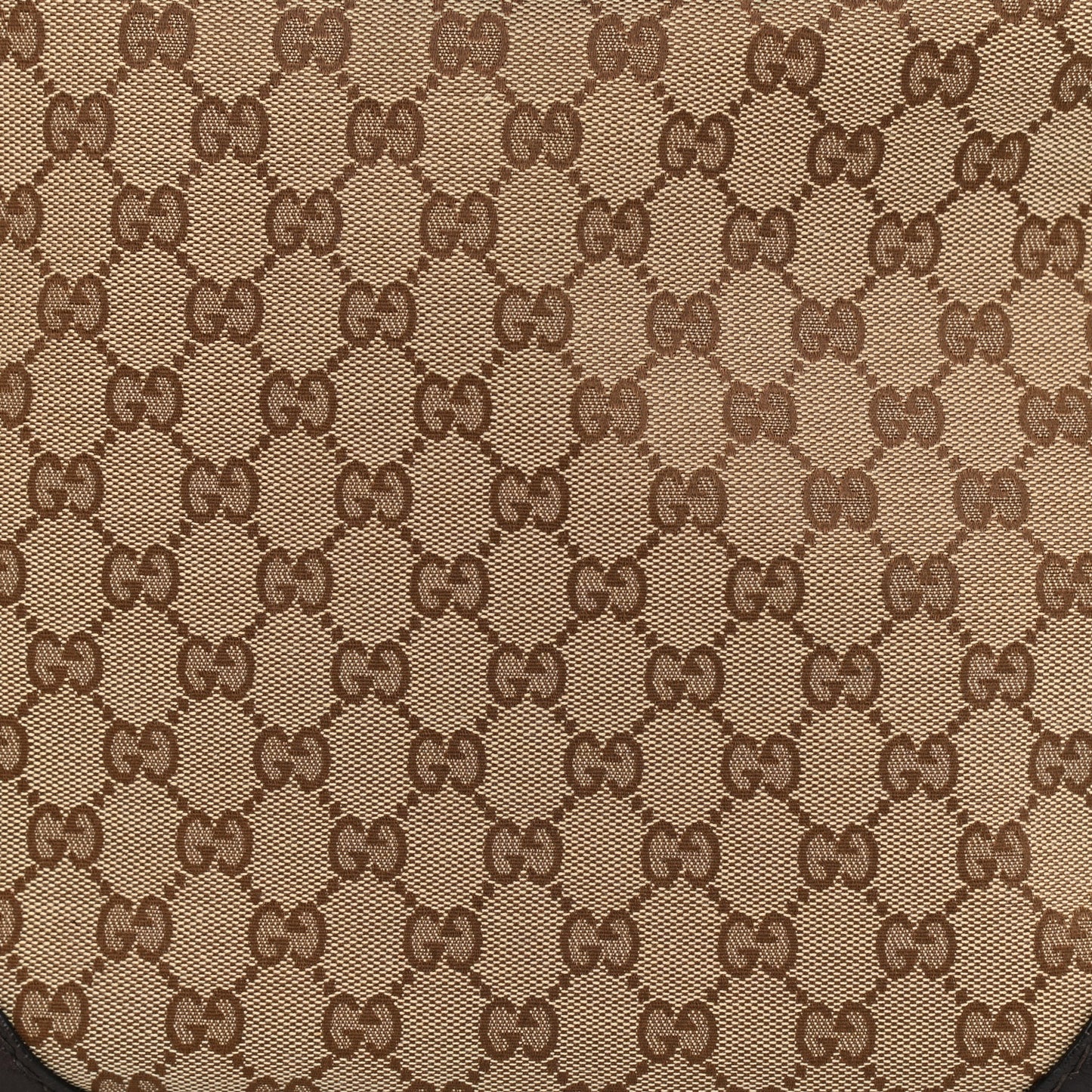 Monogram Charlotte Medium Hobo Brown