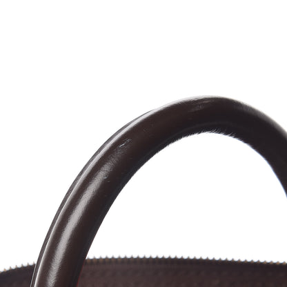 Louis Vuitton Damier Ebene Speedy 30 11 of 15