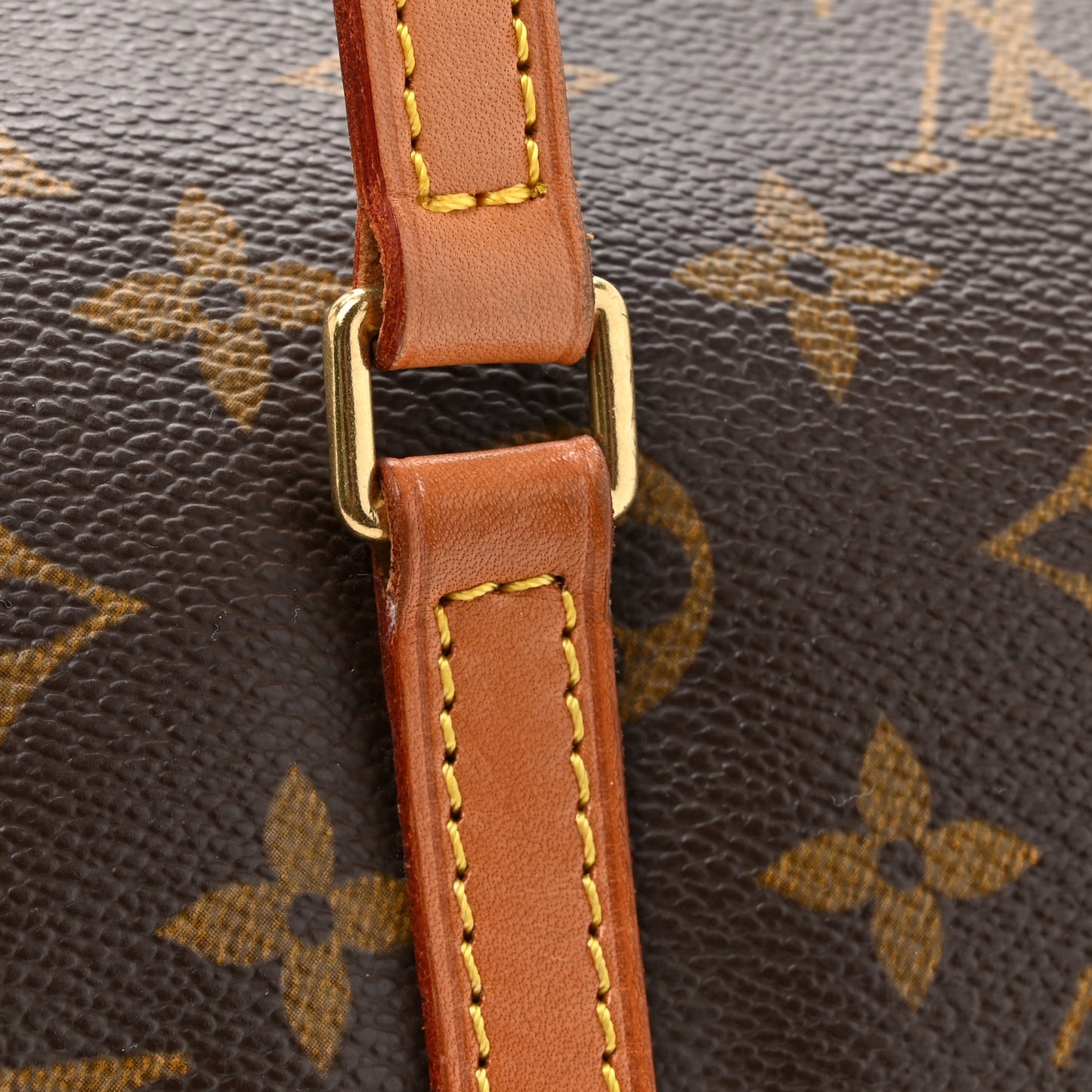 Monogram Papillon 30 with Companion