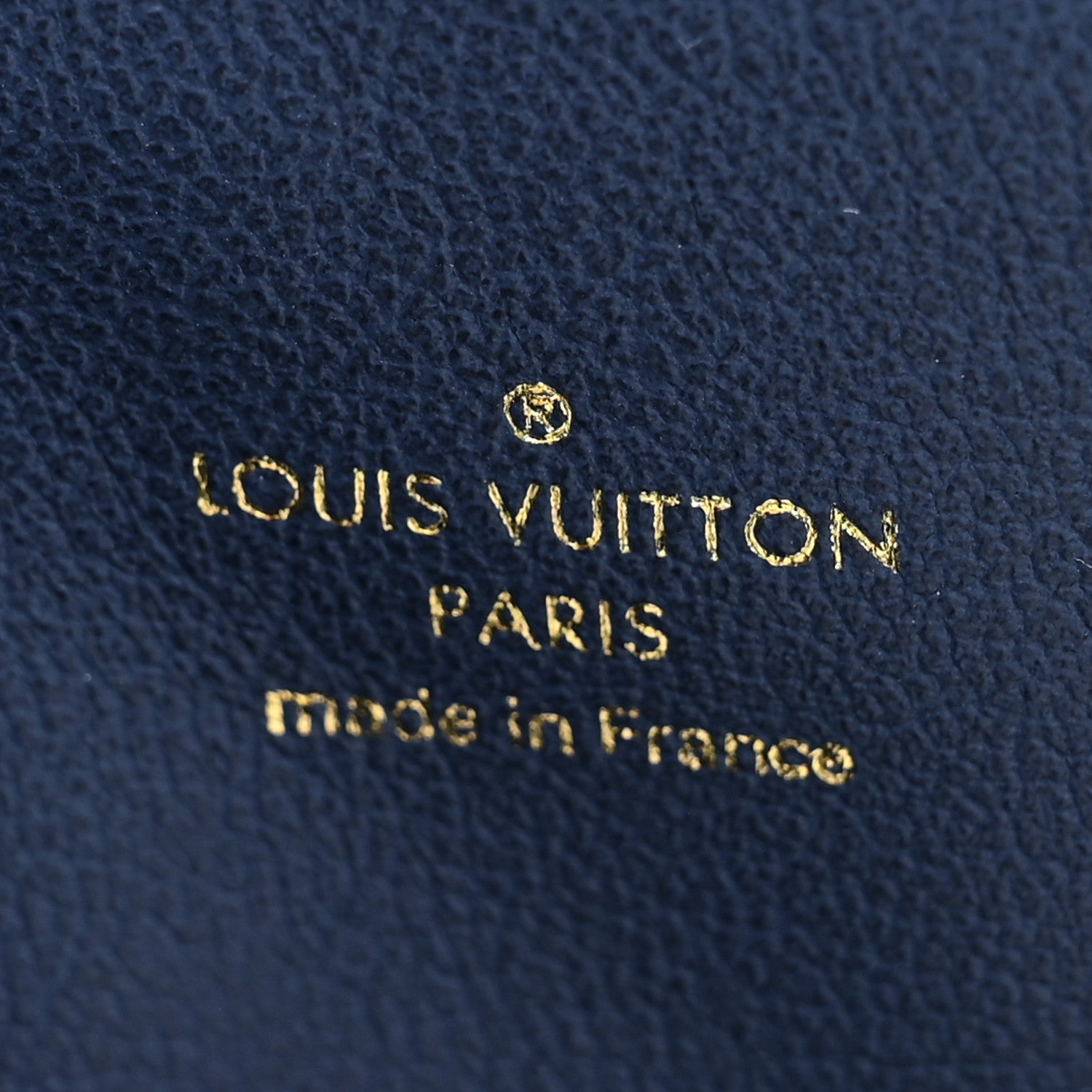 Louis Vuitton Lambskin Embossed Monogram Coussin PM Taupe 8 of 10
