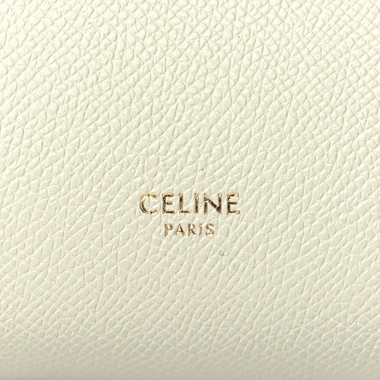 Celine Grained Calfskin Micro Belt Bag Vert D'eau 6 of 10