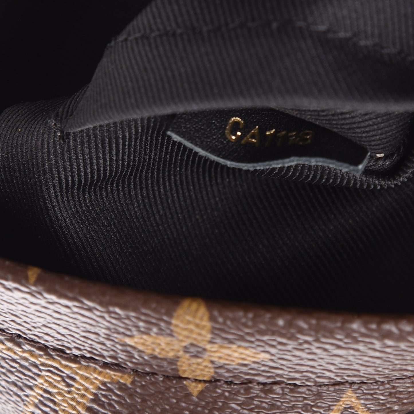 Monogram Palm Springs Backpack Mini