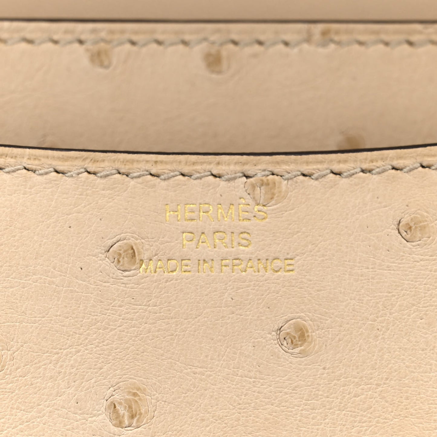 Ostrich Constance 18 Parchemin