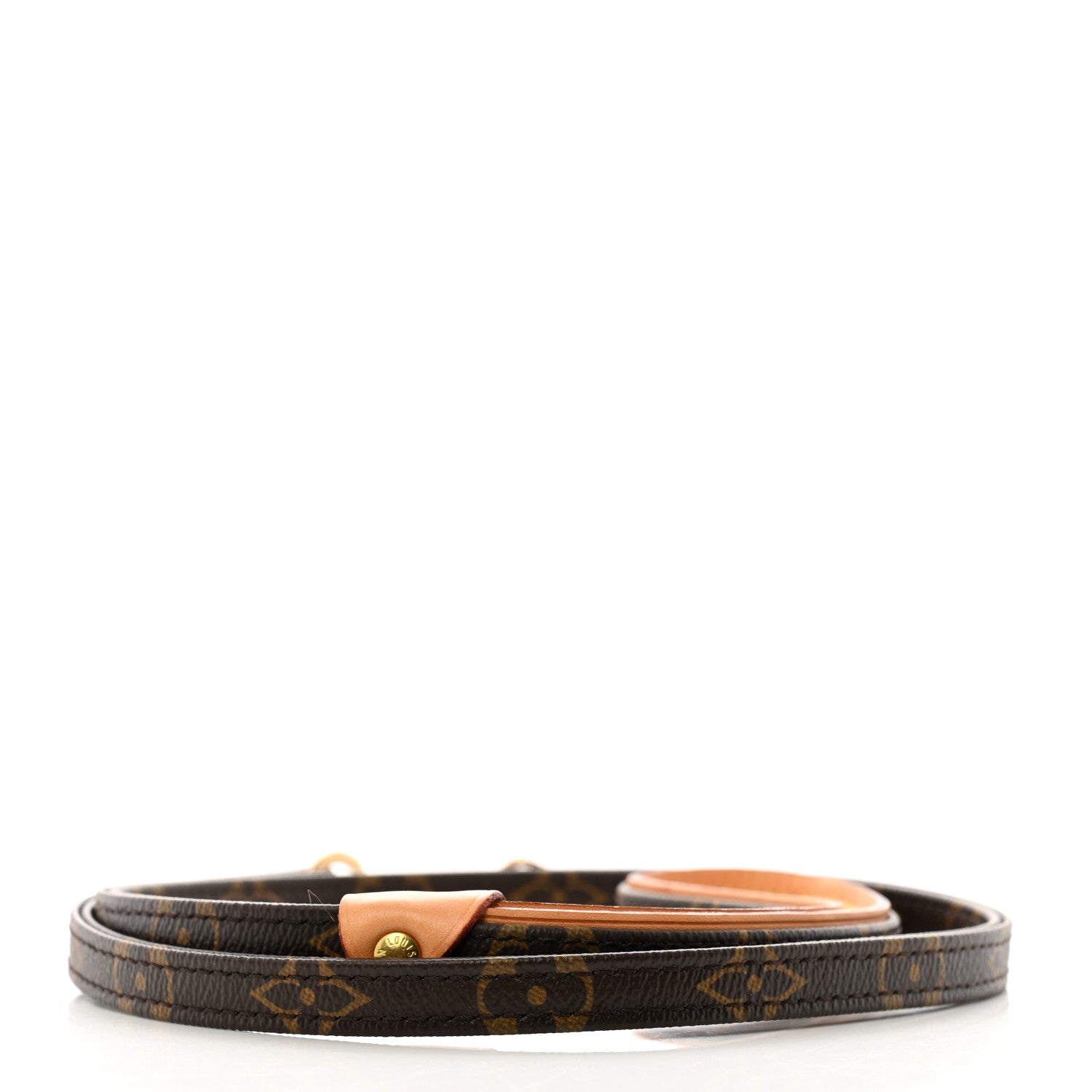 Louis Vuitton Monogram Baxter Dog Leash MM 2 of 5