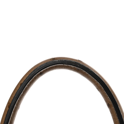 Hermes Ostrich Birkin 30 Mousse 13 of 15