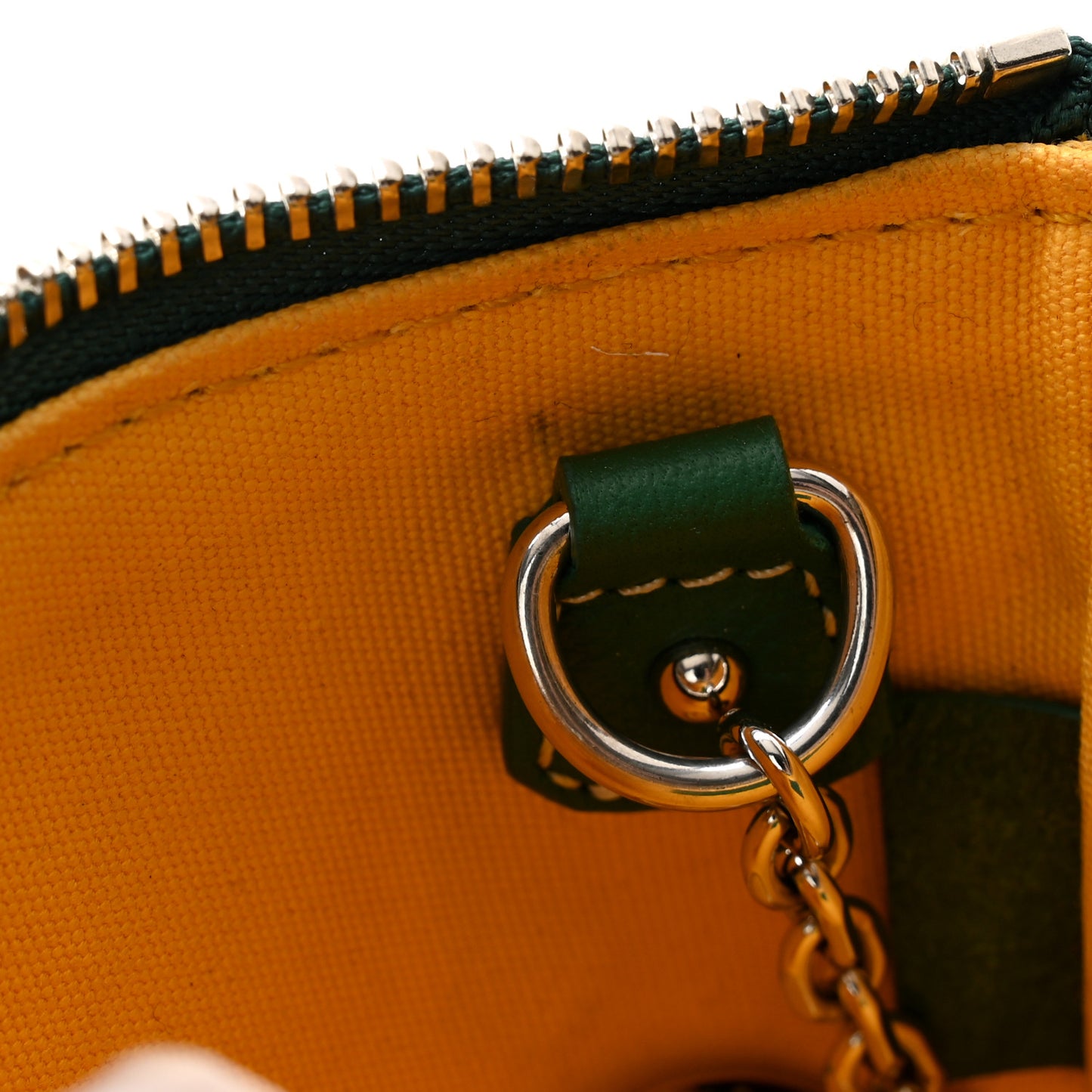 Goyardine Nano Senat Key Pouch Green