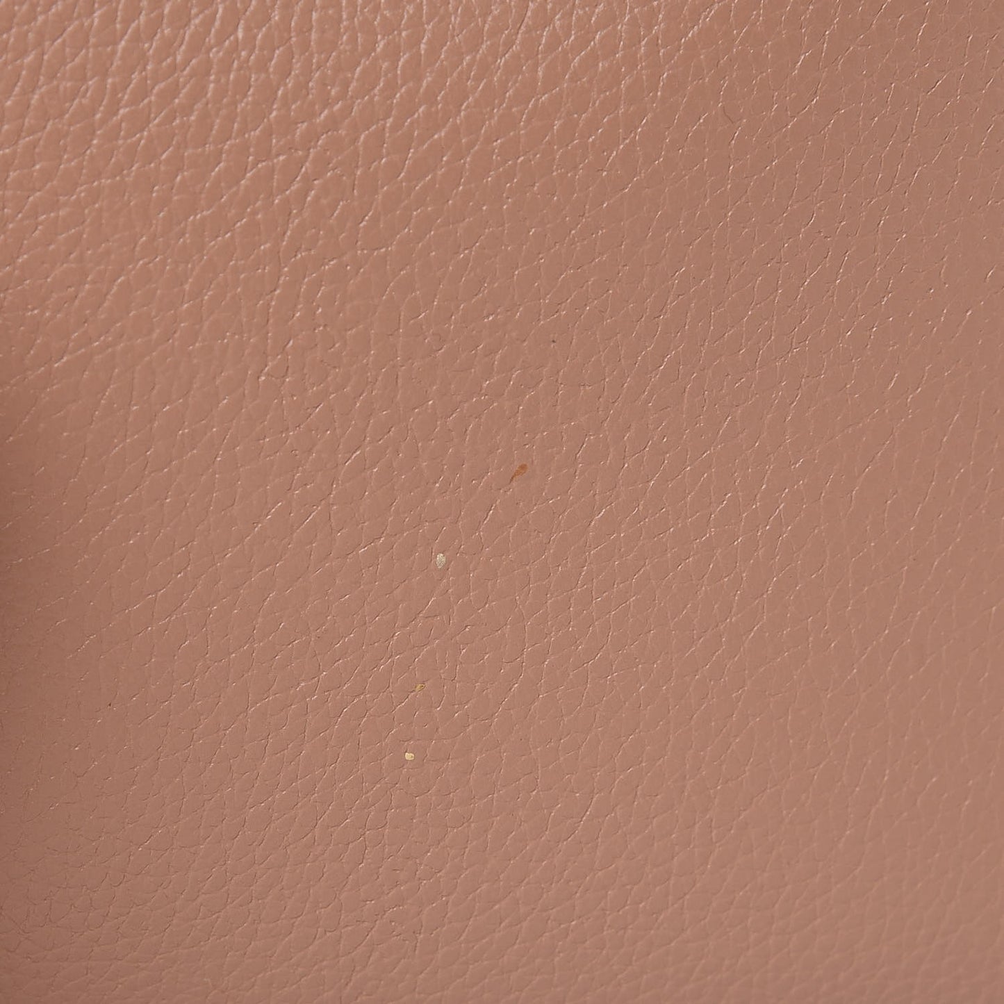 Calfskin Spikes East West Cabata Tote Nude