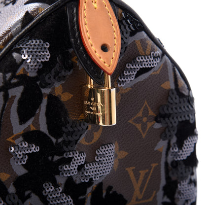Louis Vuitton Monogram Fleur De Jais Sequins Speedy 30 8 of 10