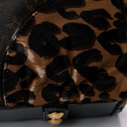 Louis Vuitton Monogram Leopard Adele 19 of 26