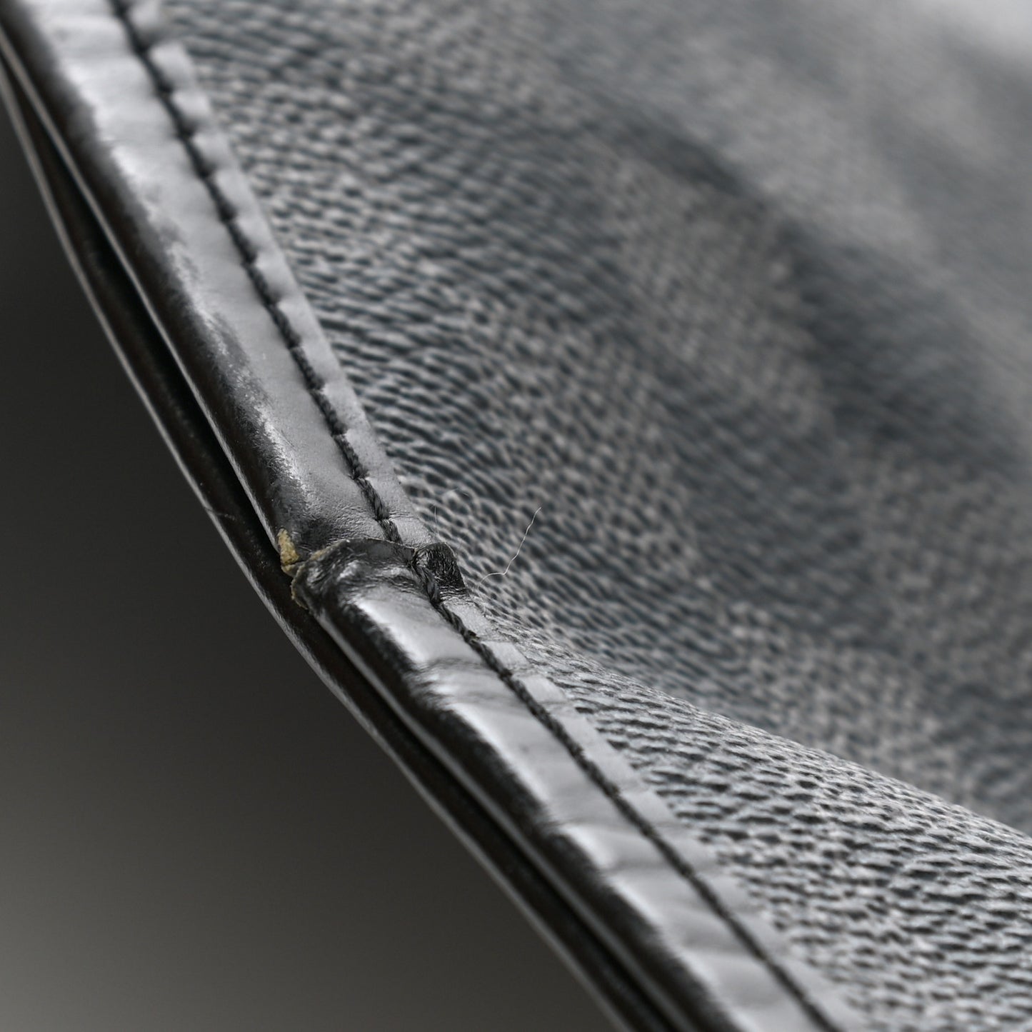 Damier Graphite Garment Cover Hanging Bag