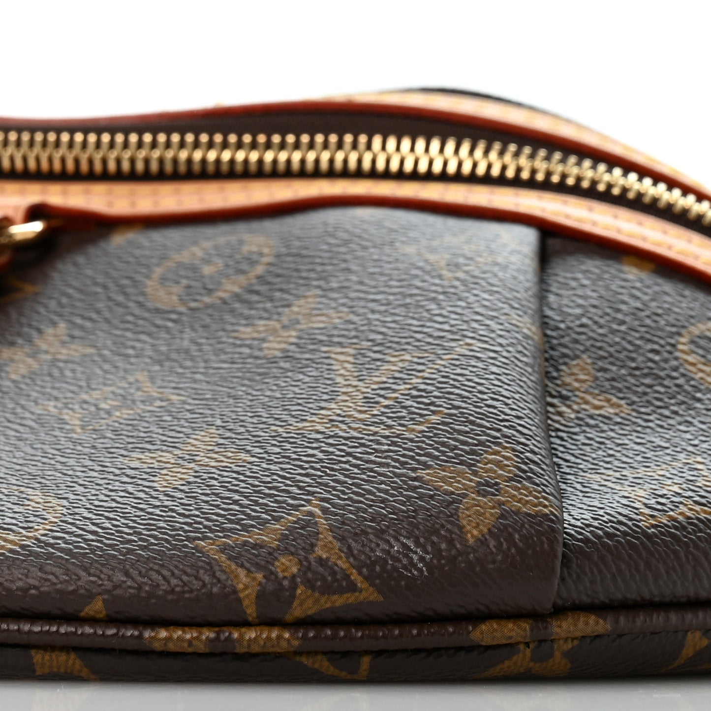 Monogram High Rise Bumbag
