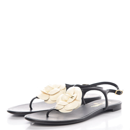 Chanel Lambskin Camellia Thong Sandals 39.5 Black White 3 of 8