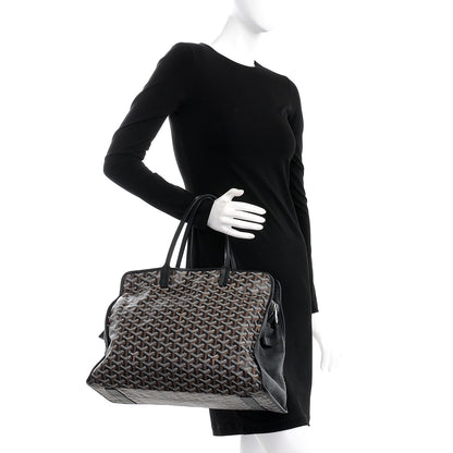 Goyard Goyardine Sac Hardy Pet Carrier PM Black 2 of 10