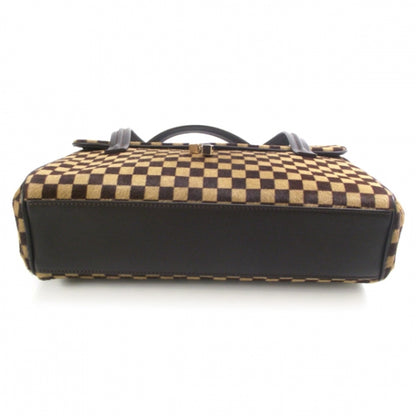 Louis Vuitton Damier Sauvage Lionne 4 of 11