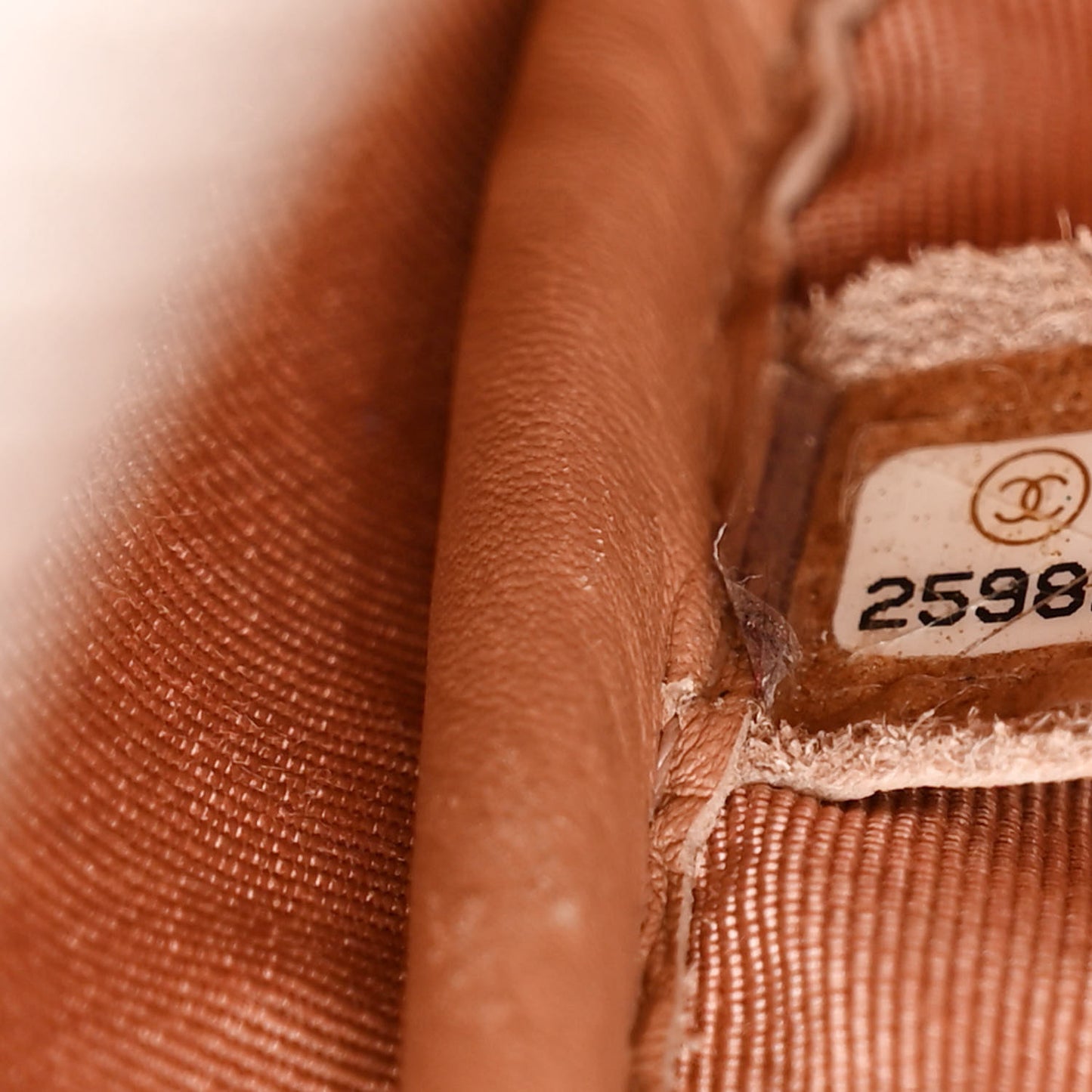 Lambskin Diagonal Chevron Quilted Tassel Camera Case Case Beige