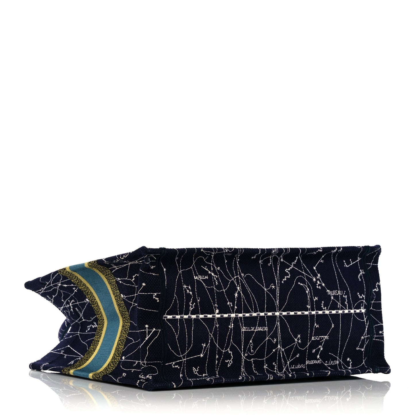 Canvas Embroidered Medium Zodiac Book Tote Blue Multicolor