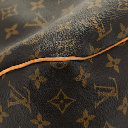 Louis Vuitton Monogram Delightful GM 12 of 15