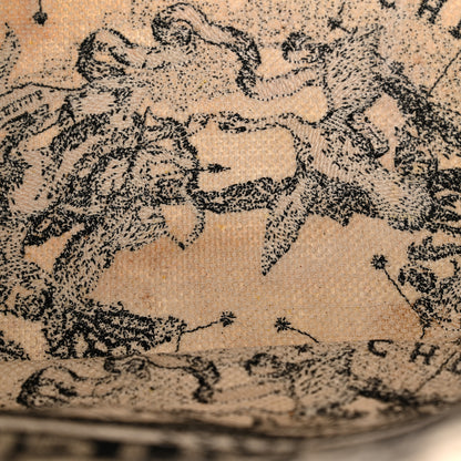 Christian Dior Canvas Zodiac Toile De Jouy Embroidered Medium Book Tote Latte 12 of 22