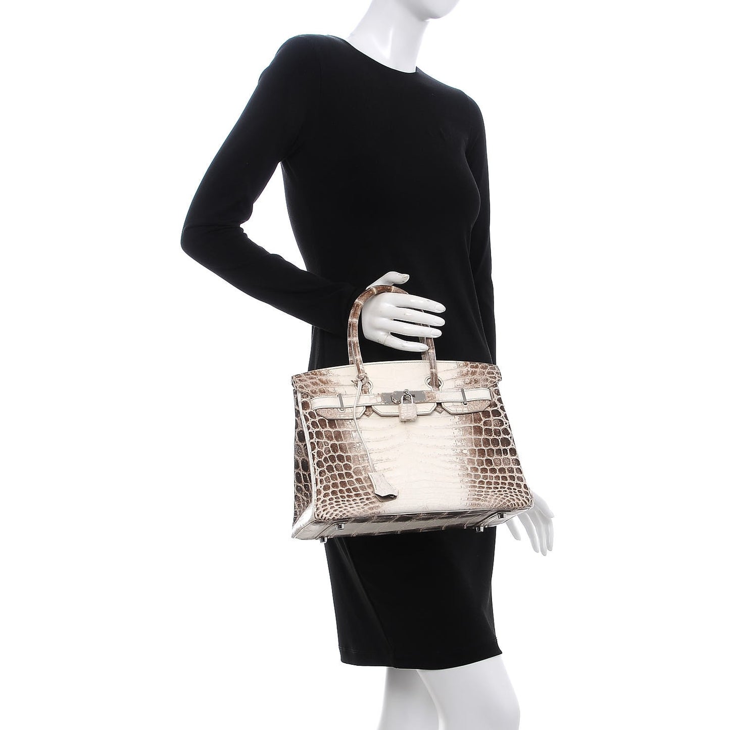 Matte Niloticus Crocodile Himalaya Birkin 30 Blanc