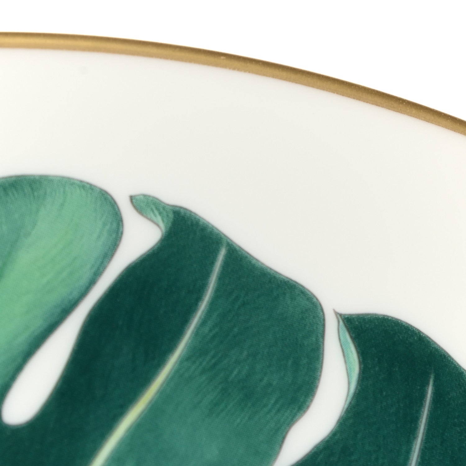 Hermes Porcelain Passifolia Dinner Plate N°2 7 of 7