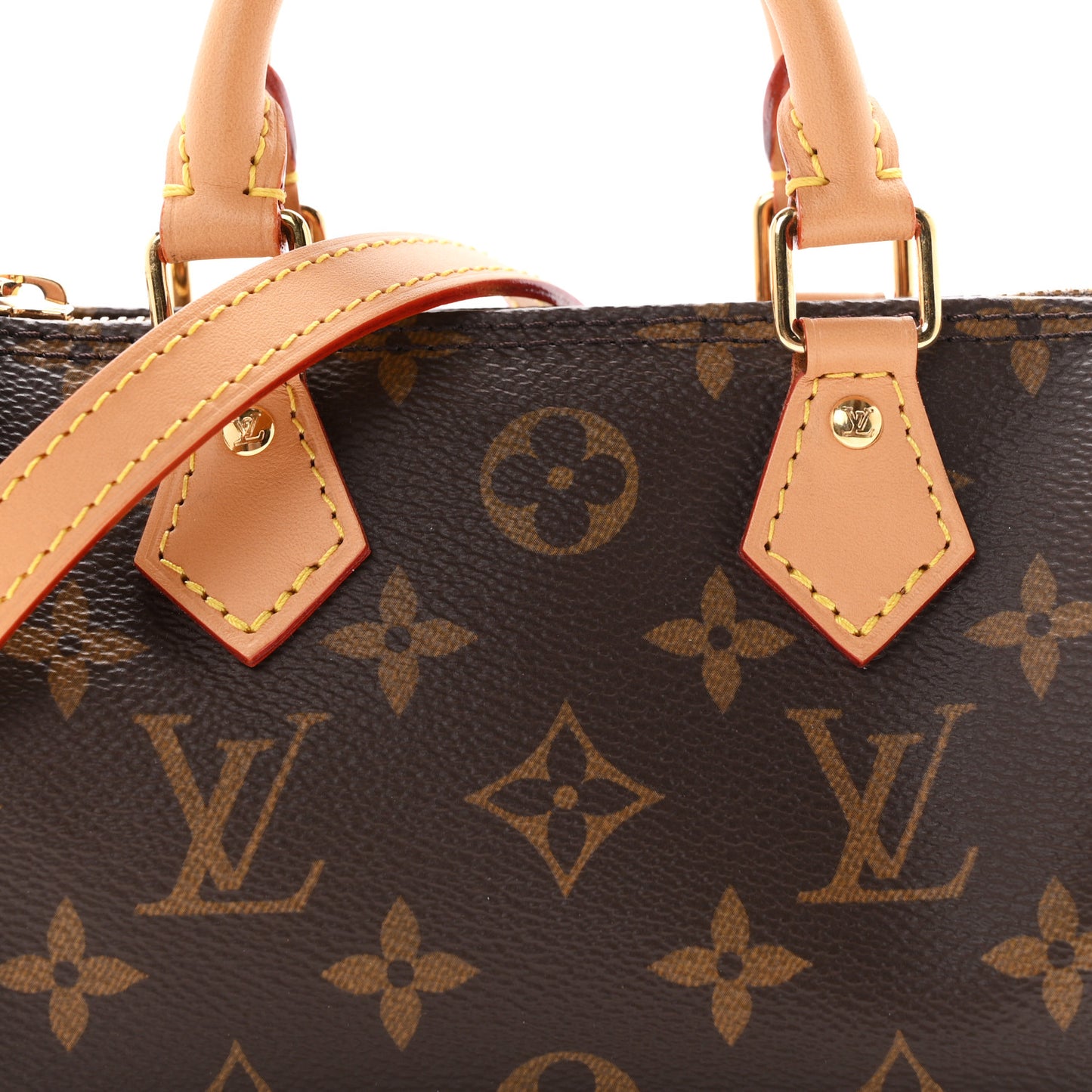 Monogram Nano Speedy Bandouliere