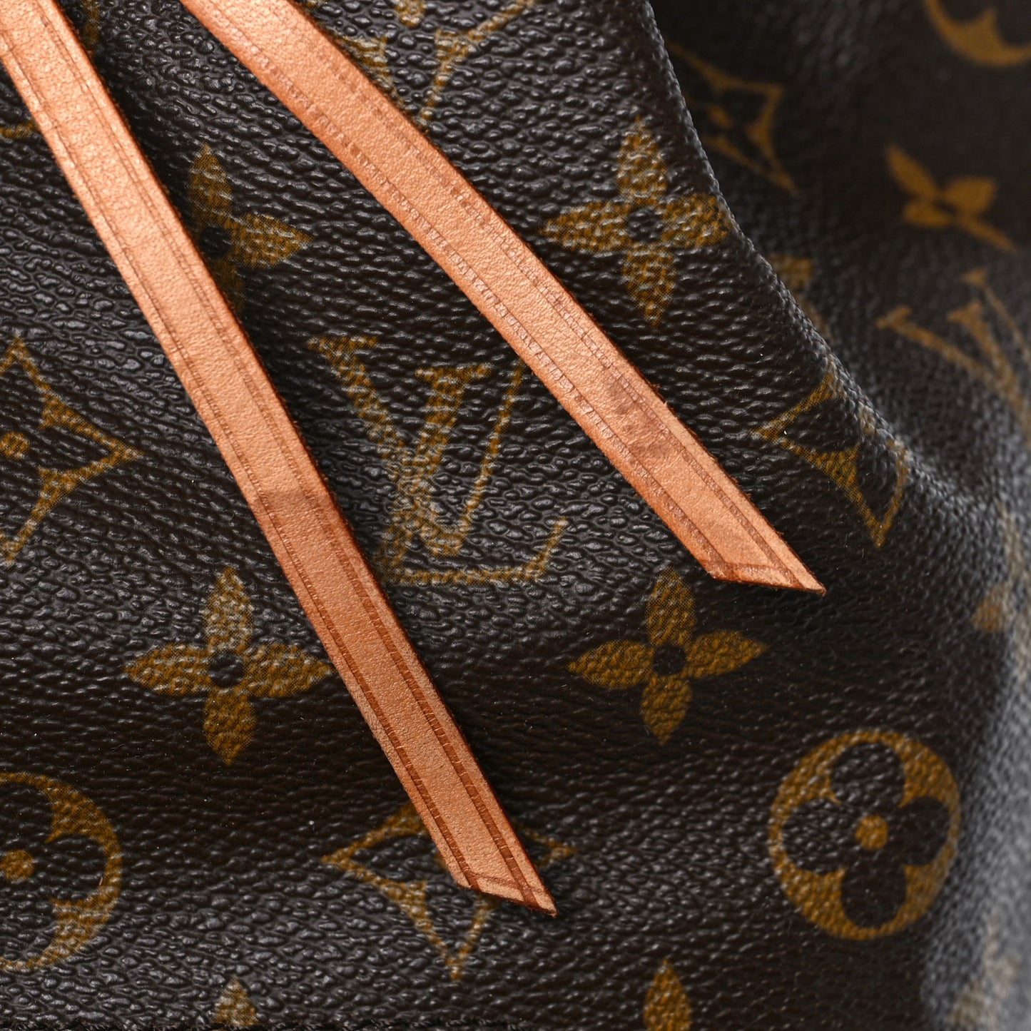 Monogram Montsouris GM Backpack