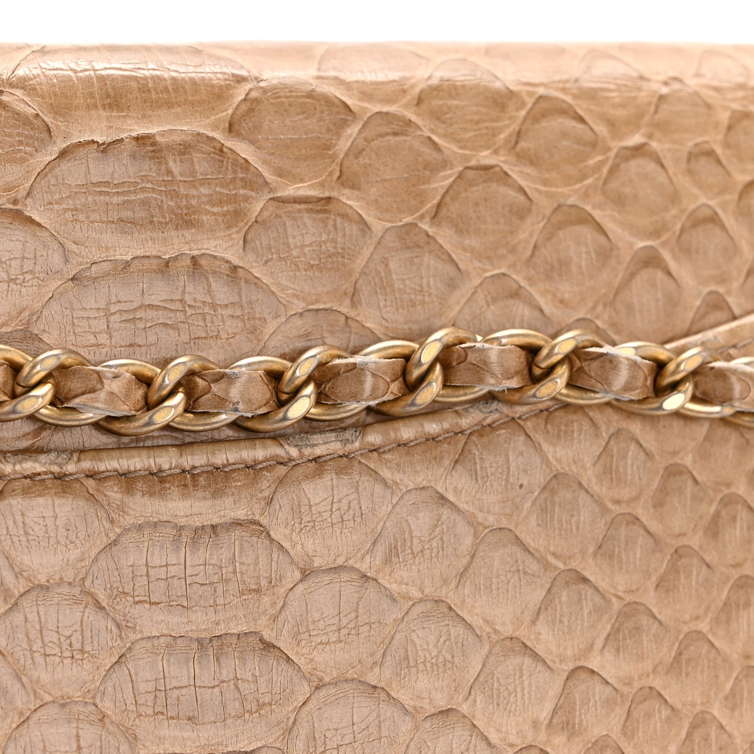 Chanel Snakeskin Wallet On Chain WOC Beige 15 of 15