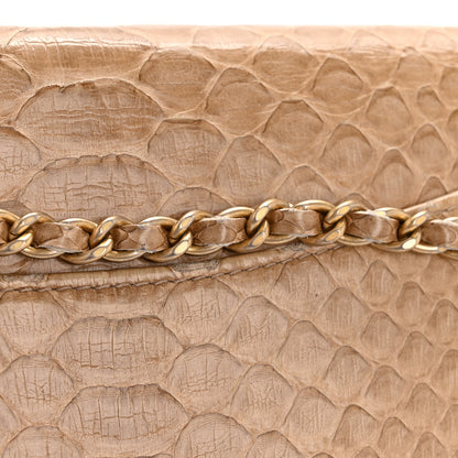 Chanel Snakeskin Wallet On Chain WOC Beige 15 of 15