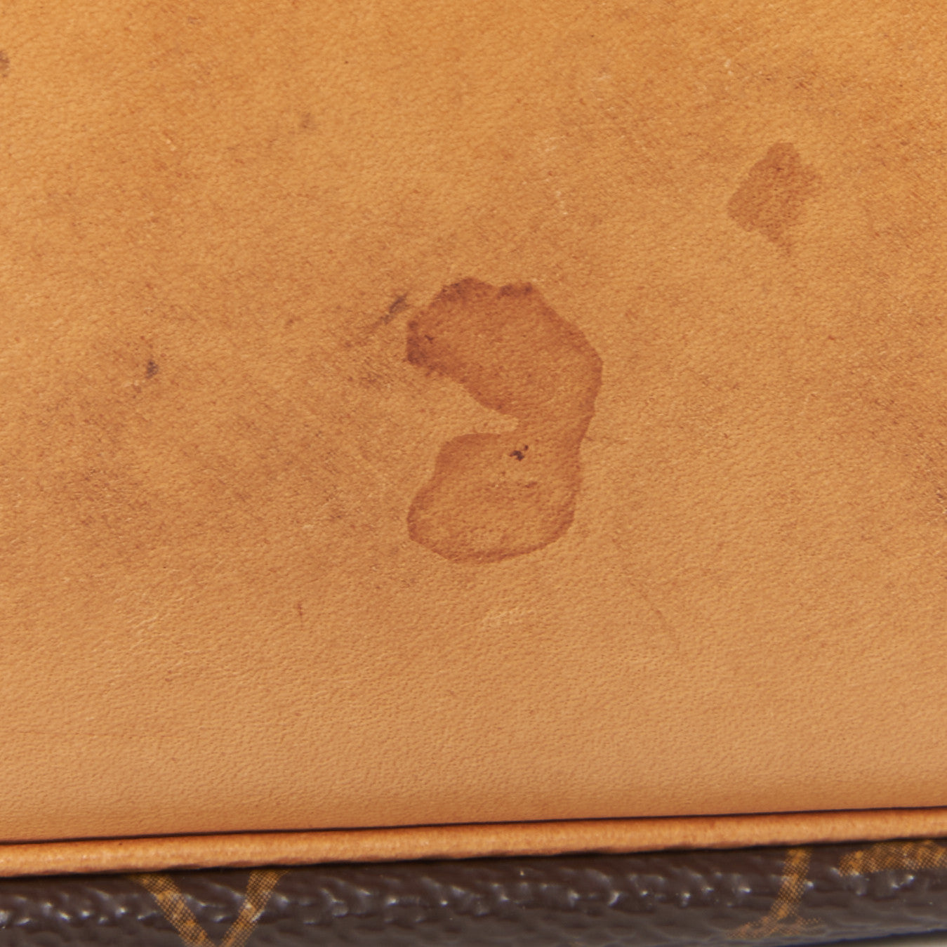 Monogram Petit Noe