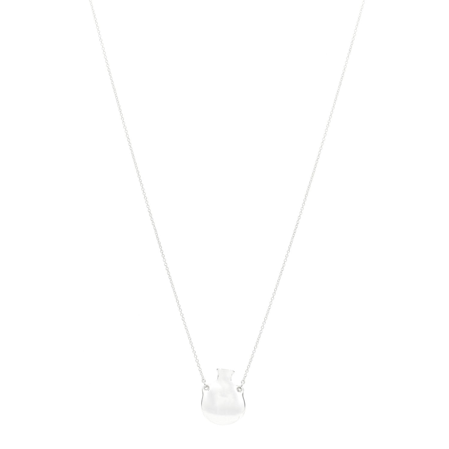 Tiffany Sterling Silver Small Elsa Peretti Bottle Pendant Necklace 1 of 5
