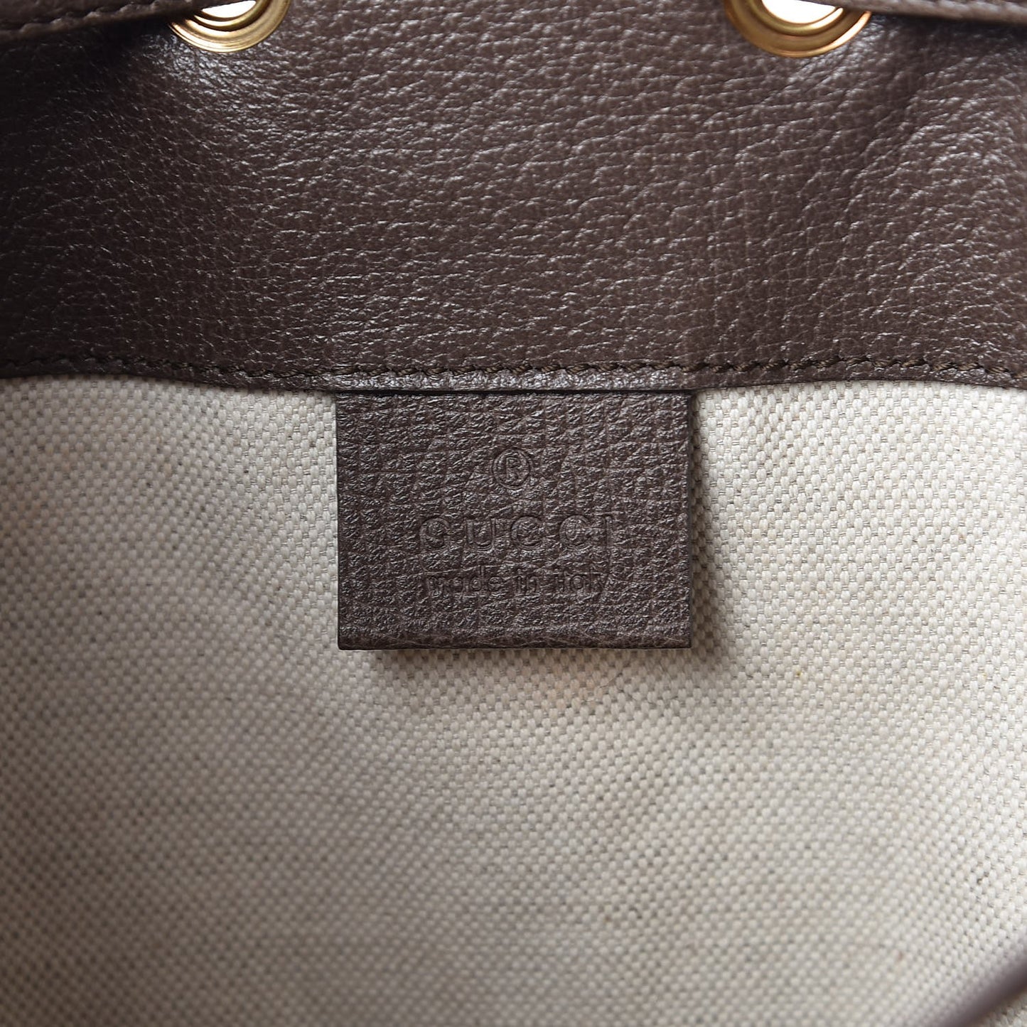 GG Supreme Monogram Web Ophidia Bucket Bag Brown