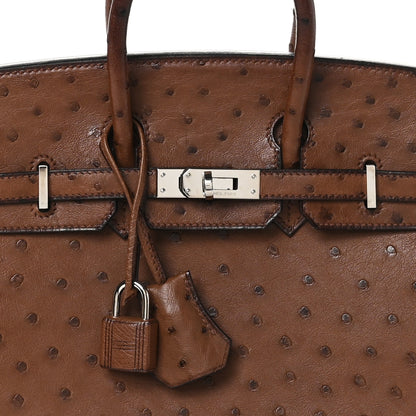 Hermes Ostrich Birkin 25 Noisette 8 of 13