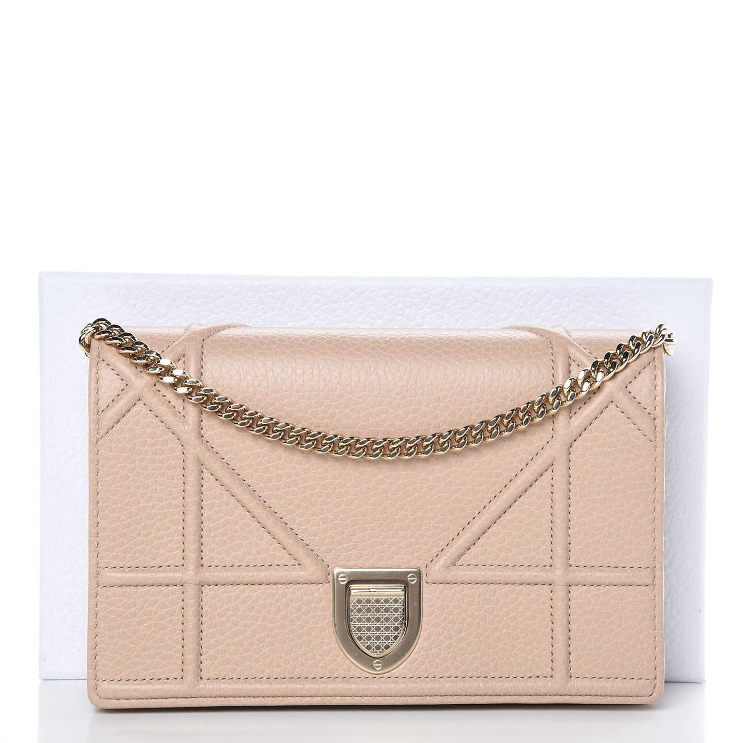 Grained Calfskin Diorama Wallet on Chain Pouch Nude