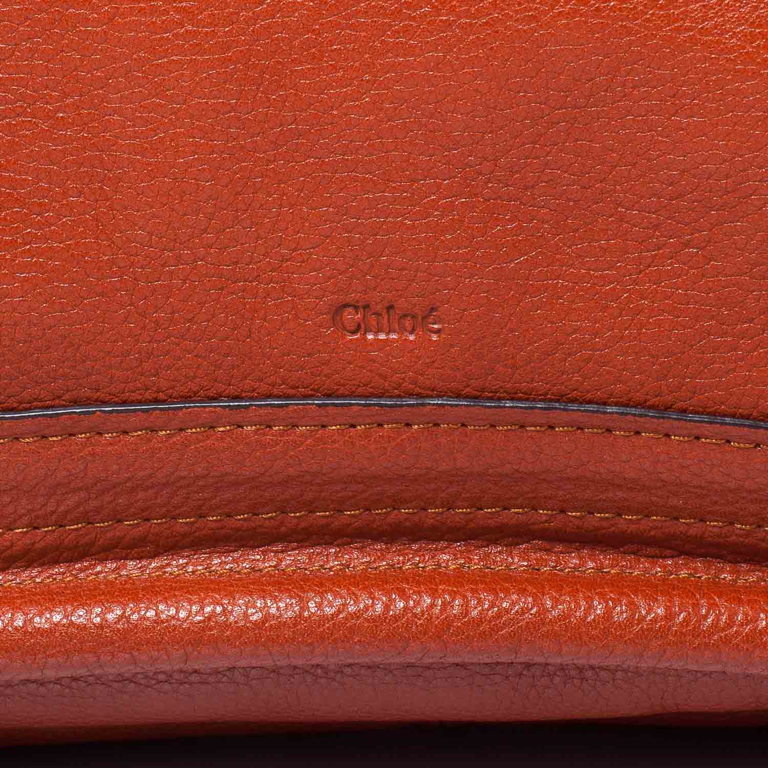 Chloe Calfskin Large Paraty Wood 6 of 10