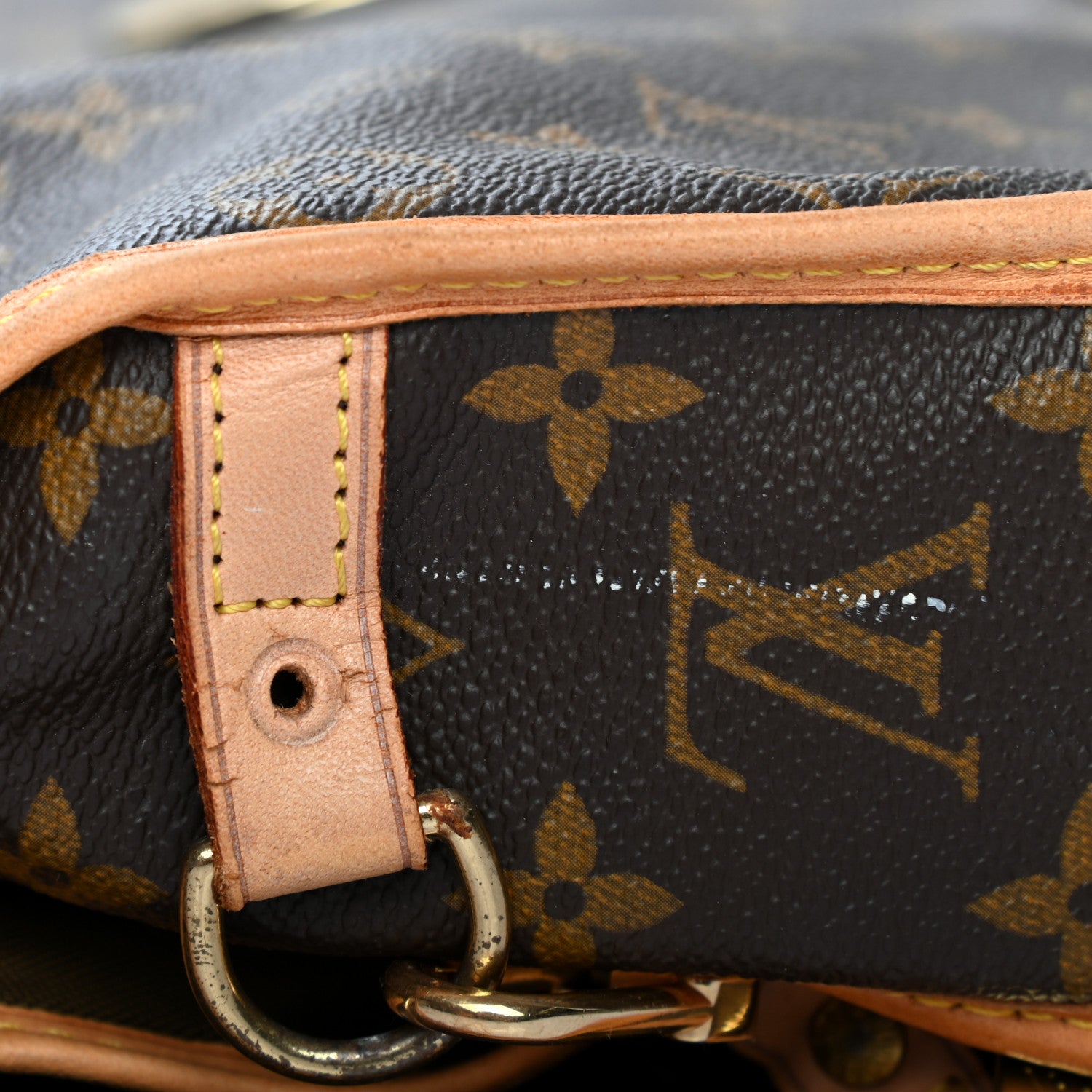 Louis Vuitton Monogram Garment Bag Hanging 6 of 6
