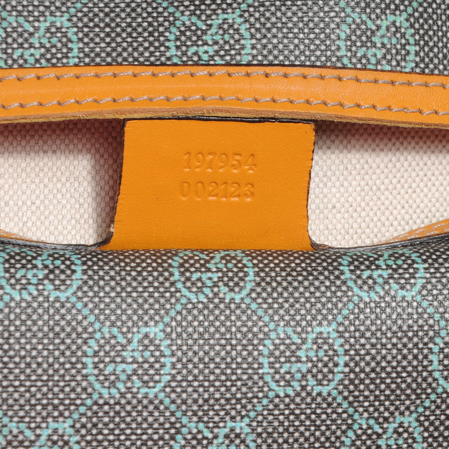 GG Plus Monogram Medium Joy Tote Multicolor