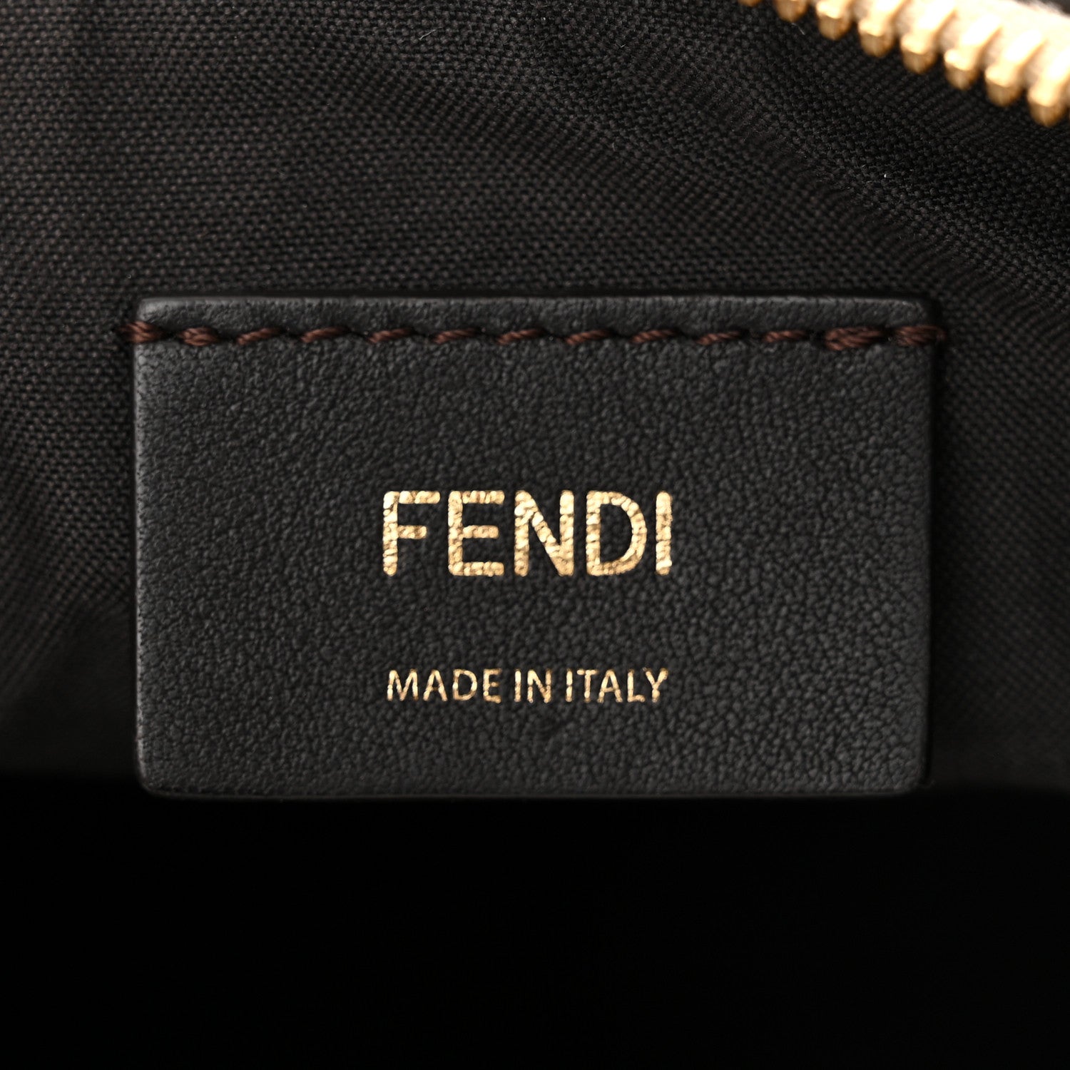 Fendi Vitello Grace Matte Small Fendigraphy Hobo Bag Nuvola 6 of 11