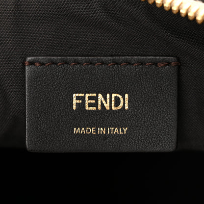 Fendi Vitello Grace Matte Small Fendigraphy Hobo Bag Nuvola 6 of 11