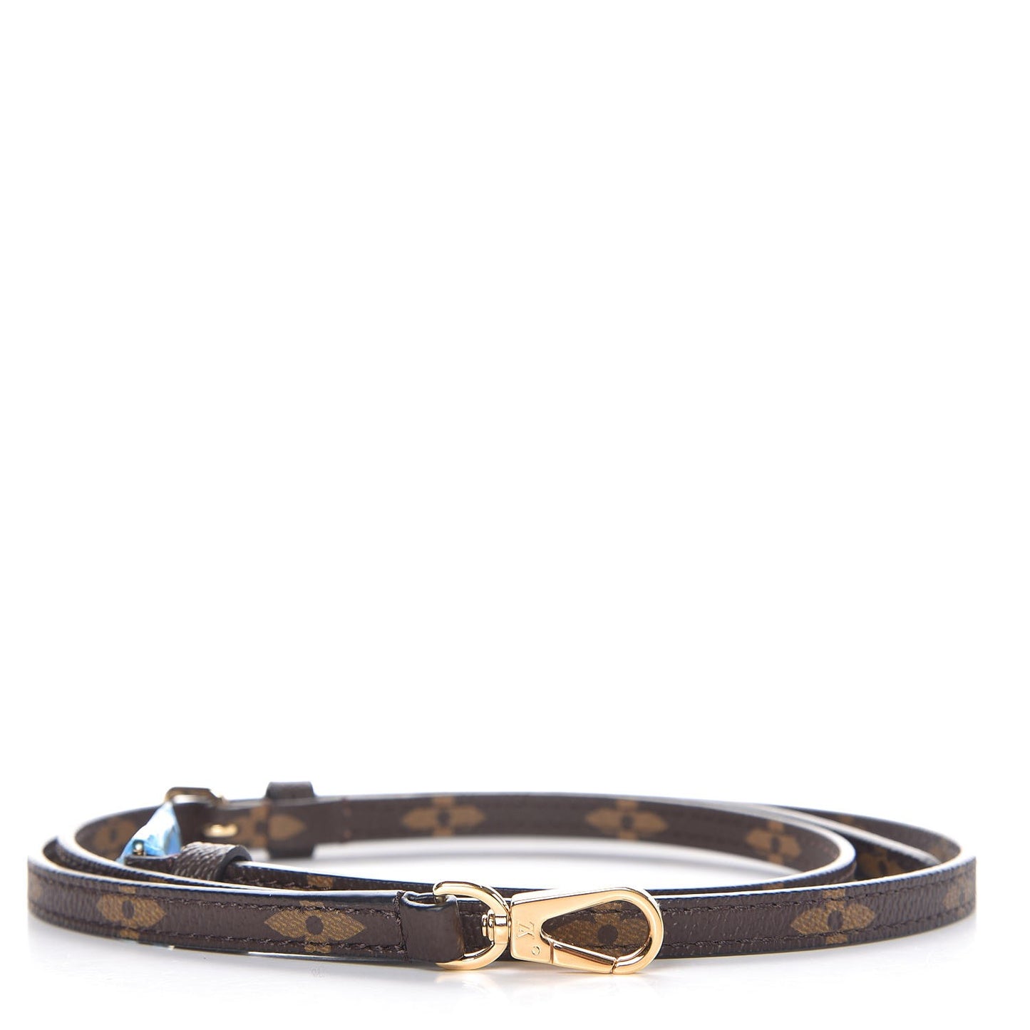 Monogram One Handle Flap Adjustable Strap