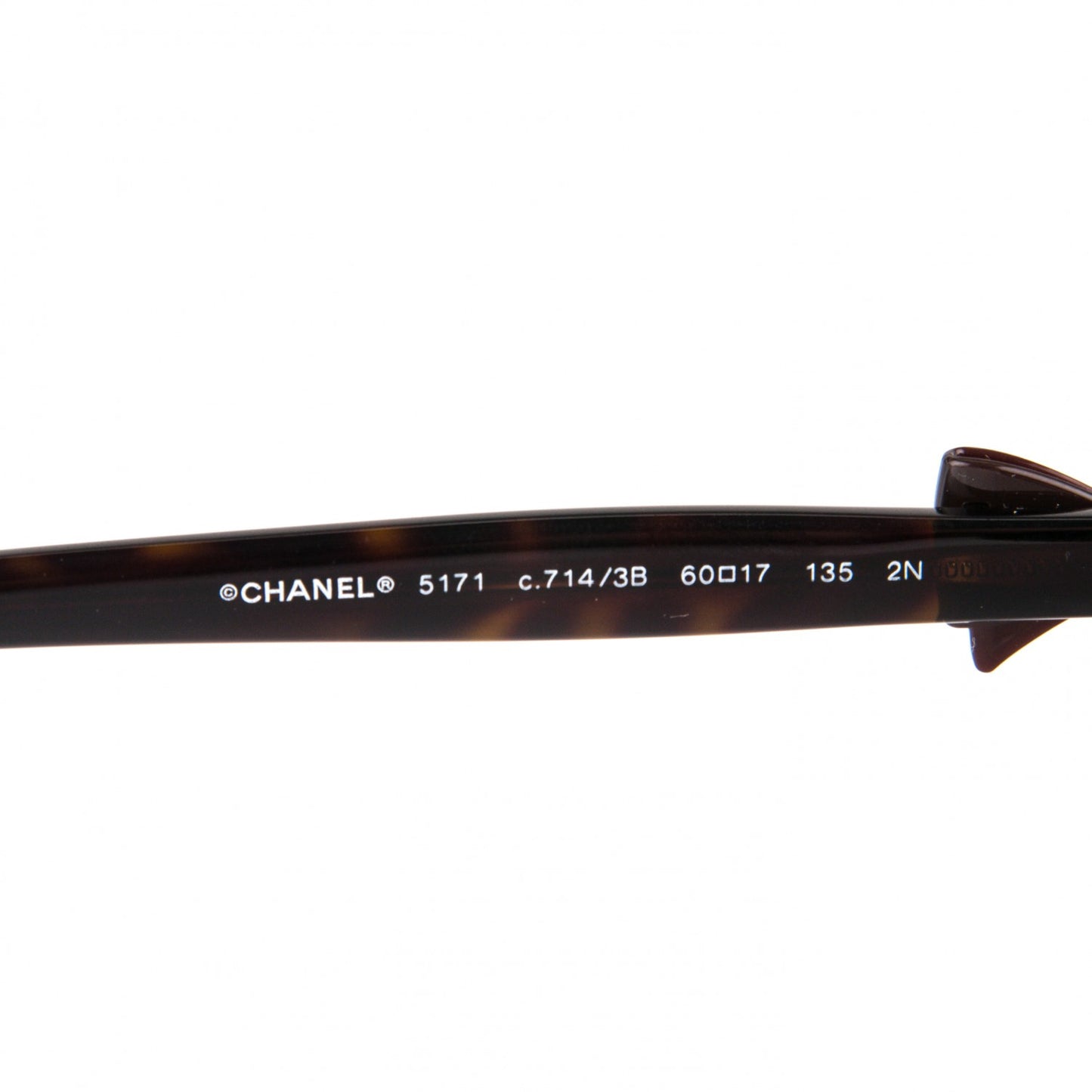 CC Bow Sunglasses 5171 Tortoise