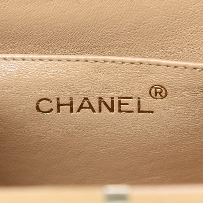 Chanel Lambskin Quilted Tortoise Box Bag Beige 6 of 19