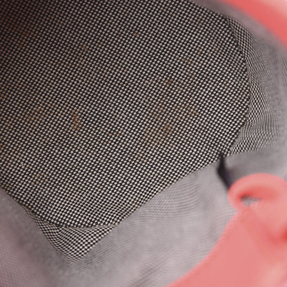 Alexander Wang Calfskin Roxy Mini Chain Bucket Neon Pink Silver Hardware 13 of 13