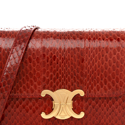 Celine Watersnake Teen Triomphe Ruby 10 of 15