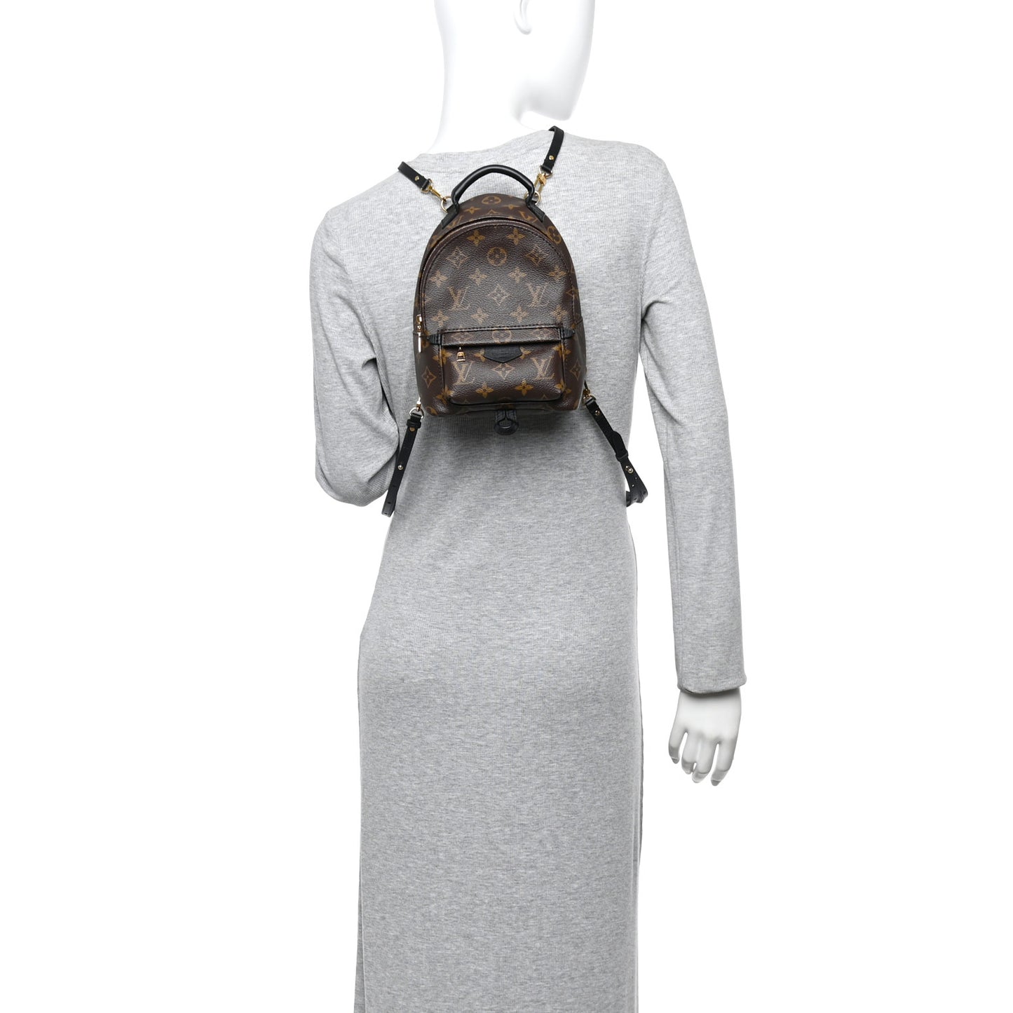Monogram Palm Springs Backpack Mini