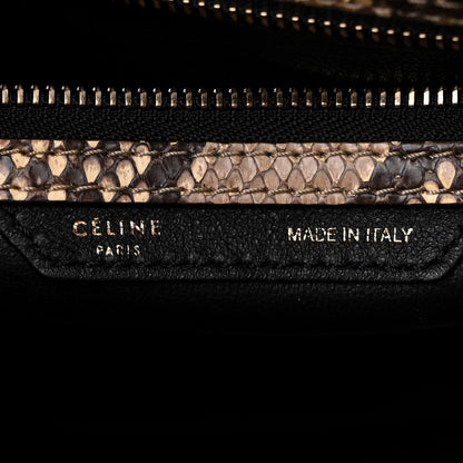 Celine Snakeskin Mini Luggage Beige 6 of 10