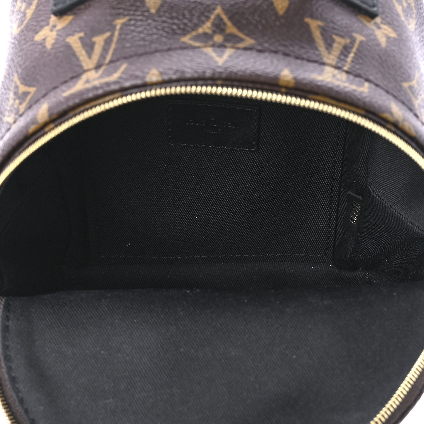 Monogram Palm Springs Backpack Mini